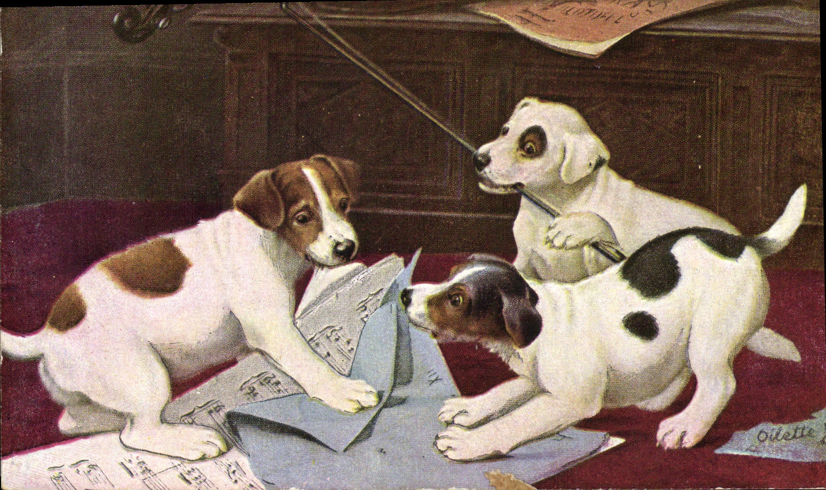 Trois chiots jouant avec des partitions musicales — Oilette — Tuck's Post Card