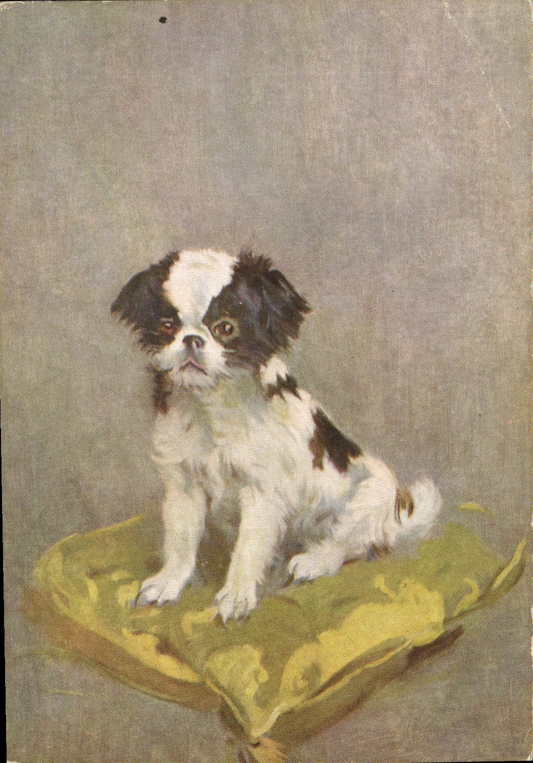 Chien japonais — portrait — DE RESZKE Cigarettes, n°15