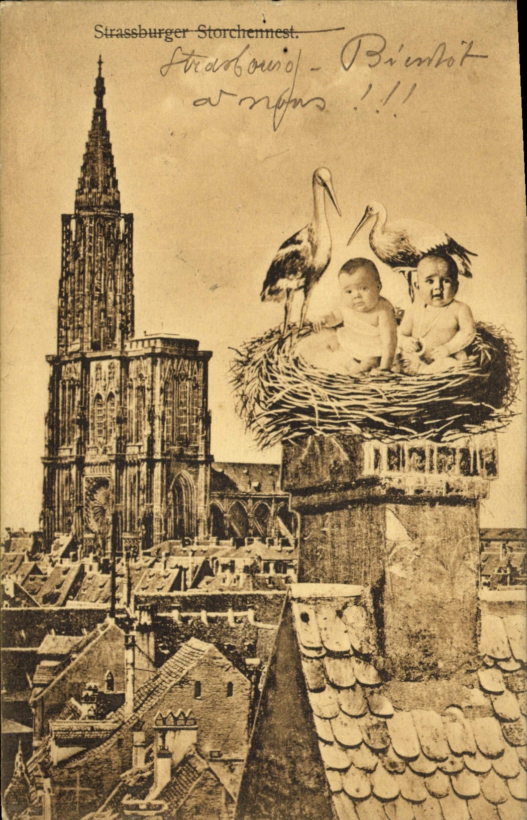 CPA Folklore Alsace Strasbourg Enfants Cigognes