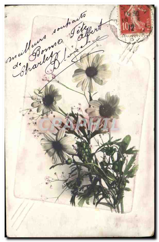 CPA Fantaisie Fleurs 