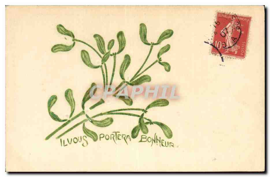 CPA Fantaisie Fleurs 