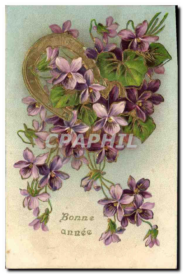 Violets et éperon — Bonne année — Carte postale universelle
