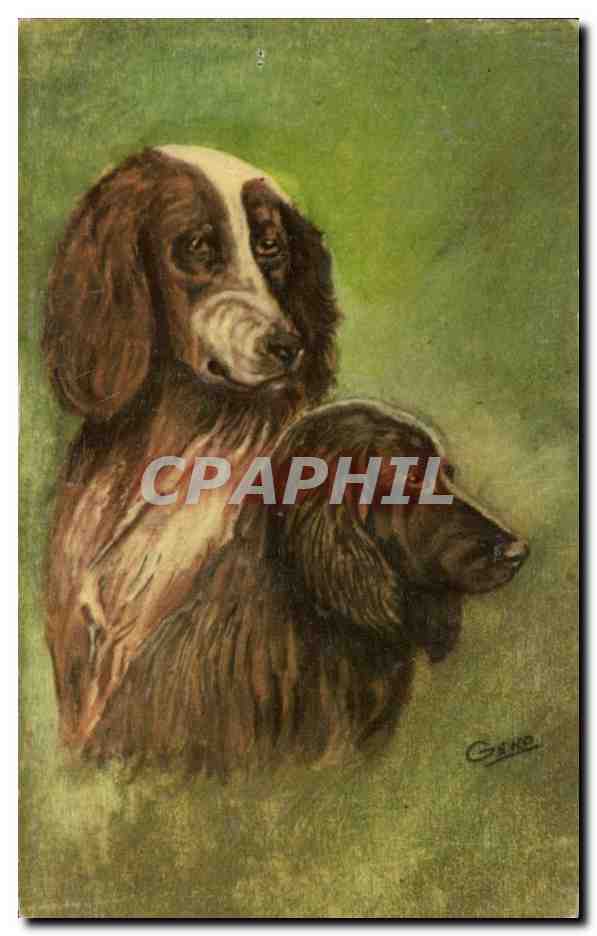 CPA Chien Chiens Chiot 