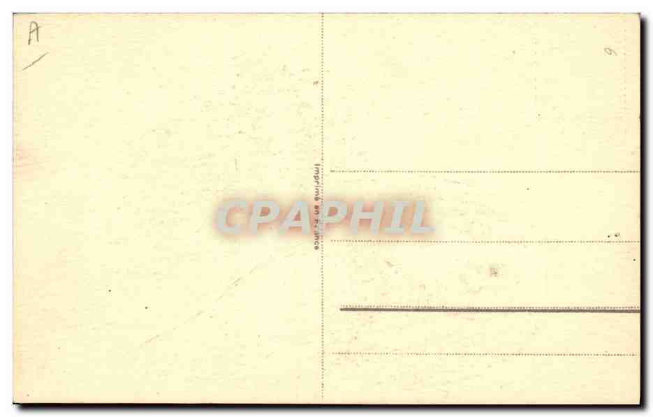 CPA Chien Chiens Chiot  — Verso