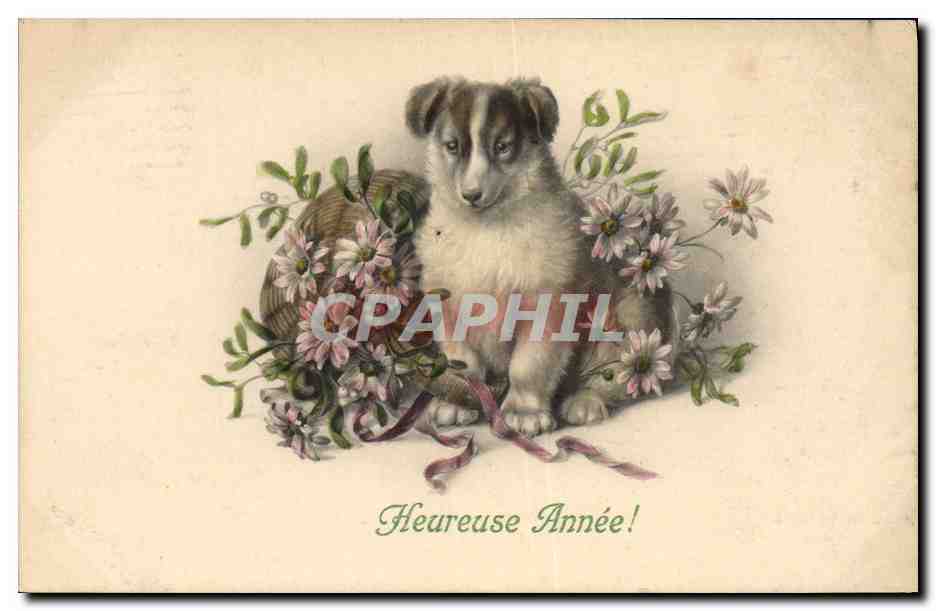 Chiot dans un panier de fleurs — Heureuse Année! — M. MUNIE, Lyon