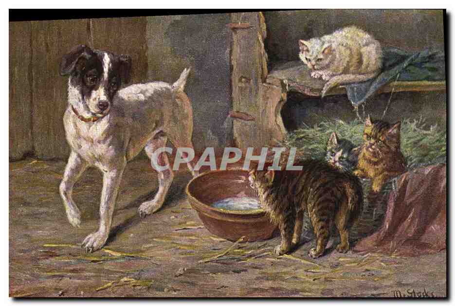 Chien et chats dans une étable — peinture de M. Stocks — éditeur R. & B., série 1900