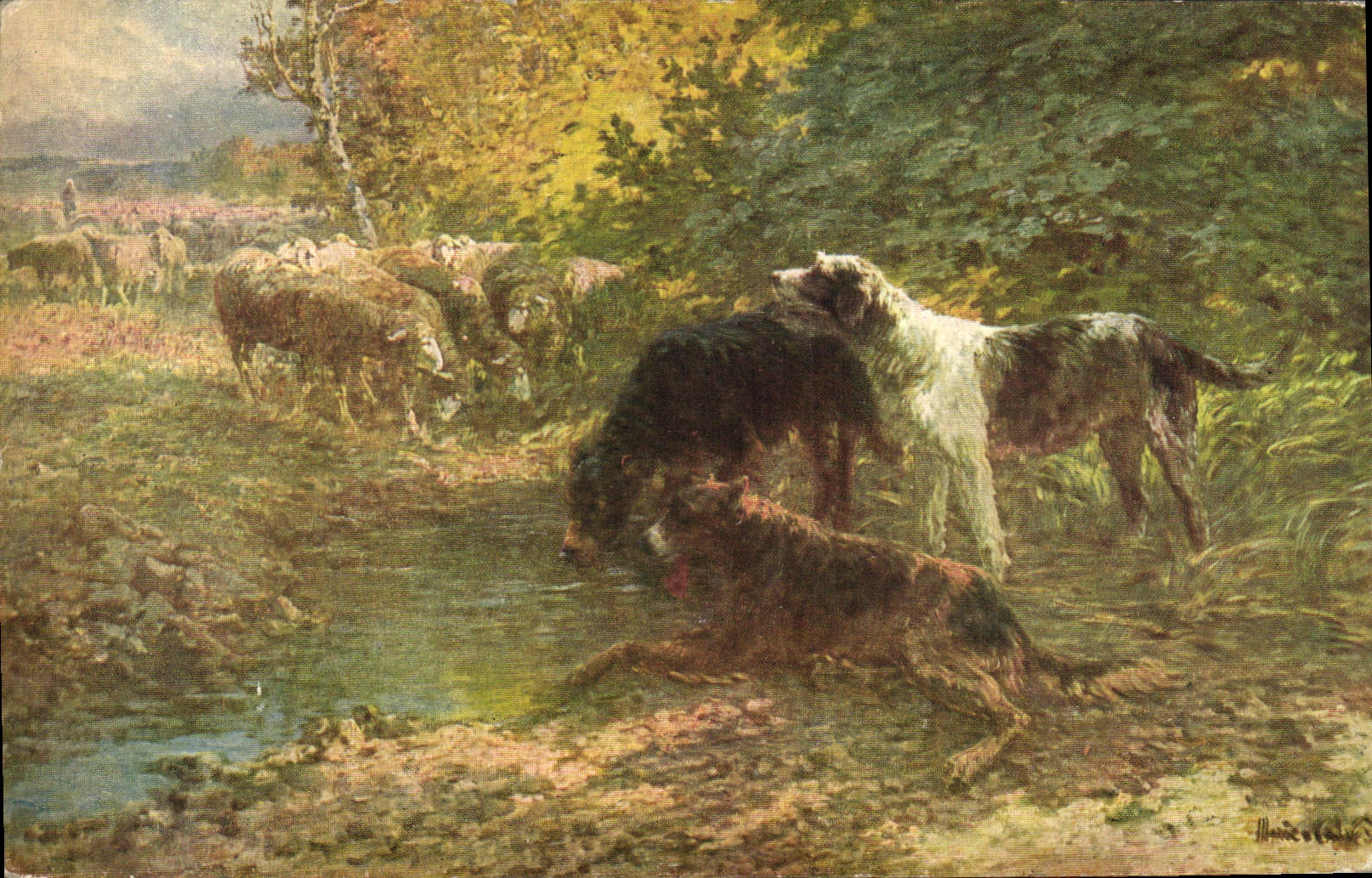 CPA Chien Chiens Chiot Marie Calves Chiens et Moutons
