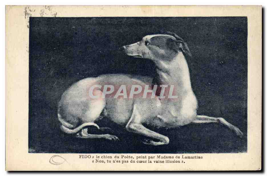 CPA Chien Chiens Chiot Fido Le chien du poete peint par Madame de Lamartine 