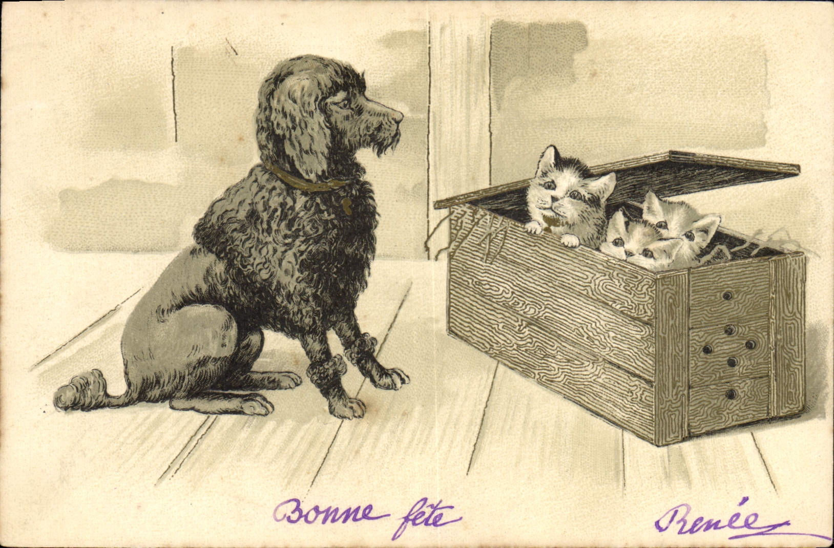 Chien et chatons — Bonne fête — Renée