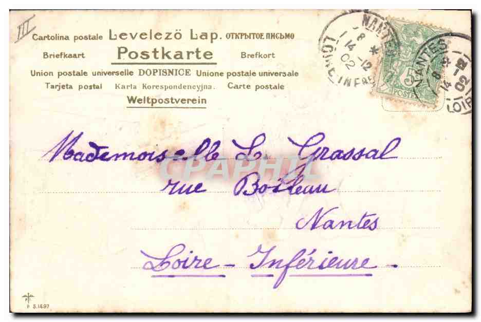 Chien et chatons — Bonne fête — Renée — Verso