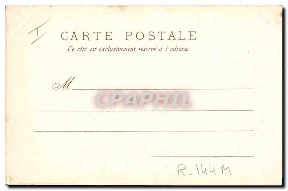 CPA Chien Chiens Chiot Perroquet — Verso
