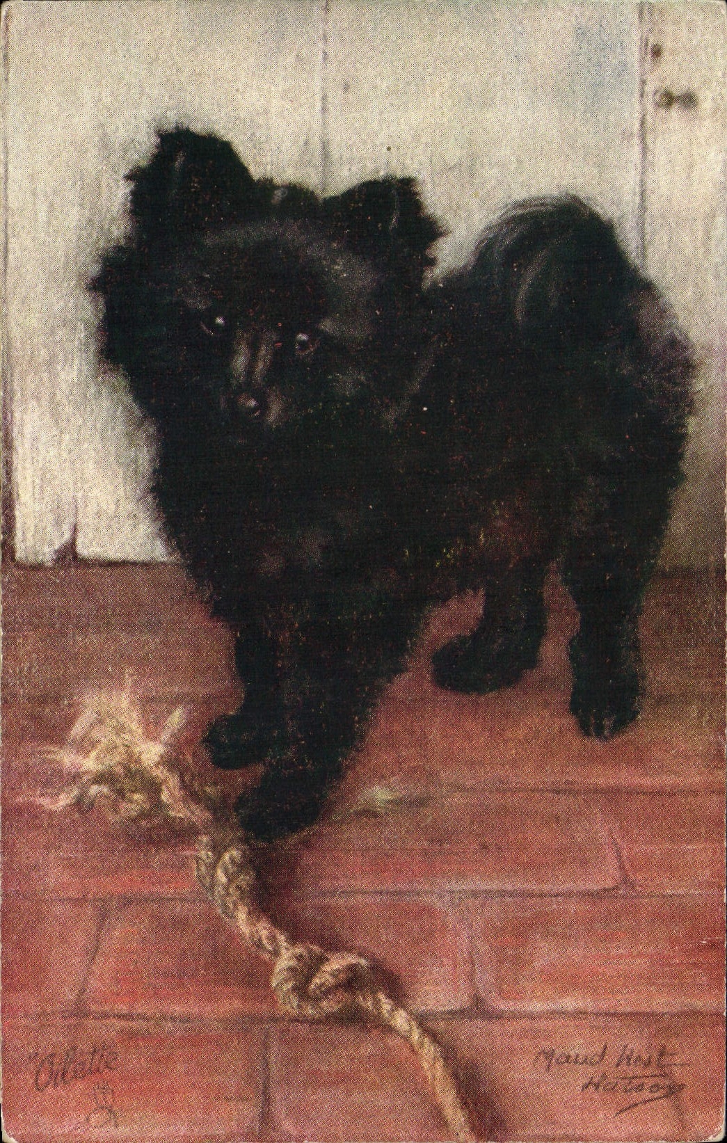 Chien Pomeranian noir — dessin — Tuck & Sons, série II, n° 9889