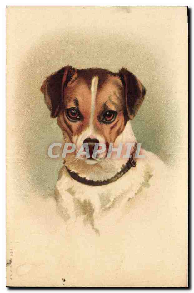 Chien — portrait — éditeur inconnu, n° de série non lisible