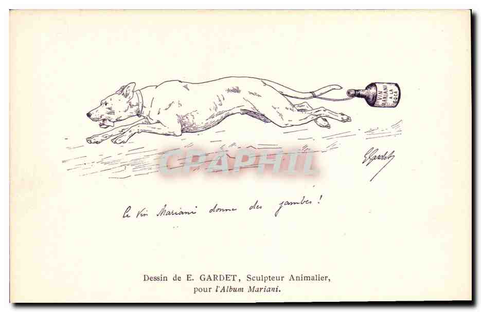 Chien courant — Vin Mariani donne du gambier ! — Dessin de E. GARDET pour l'Album Mariani