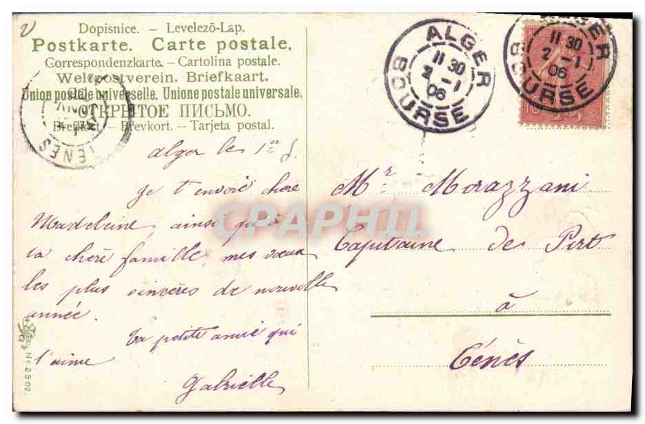 Violettes et feuille d'ivraie — Bonne et heureuse année — éditeur non visible — Verso