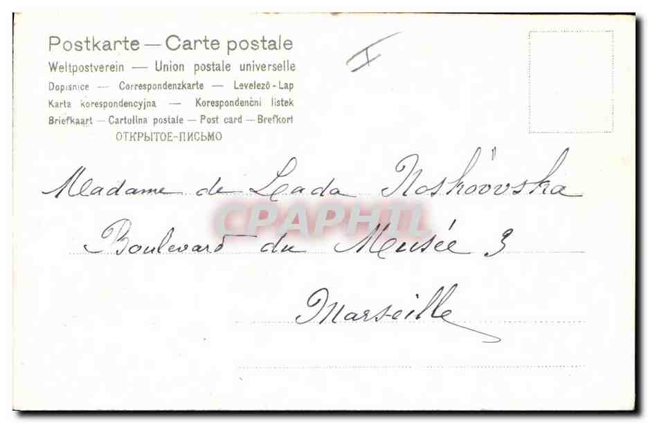 Bouquet de fleurs — bleues et jaunes — éditeur inconnu — Back