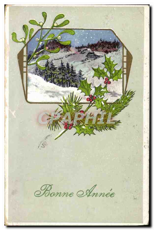 CPA Fantaisie Bonne année 