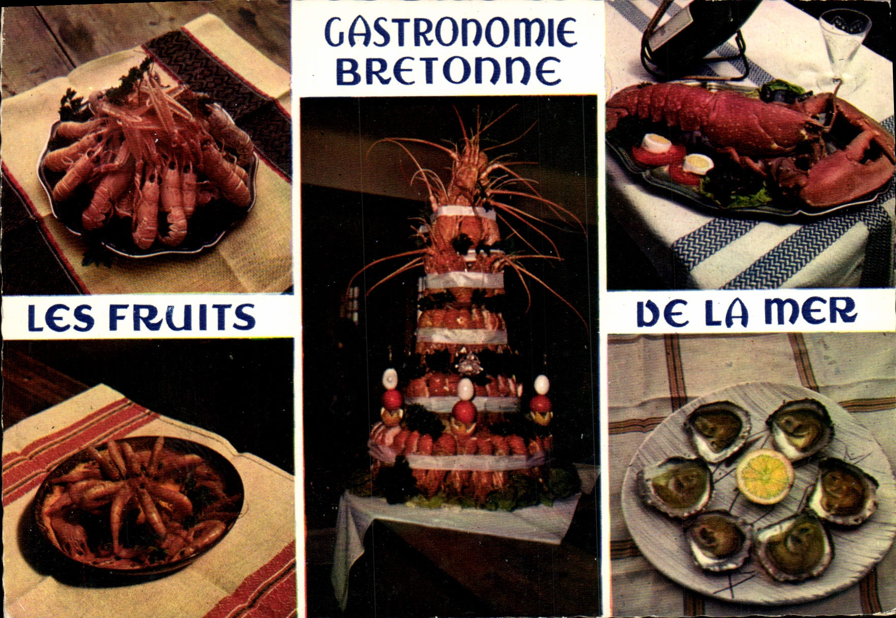 CPM Gastronomie Bretonne Les fruits de la mer