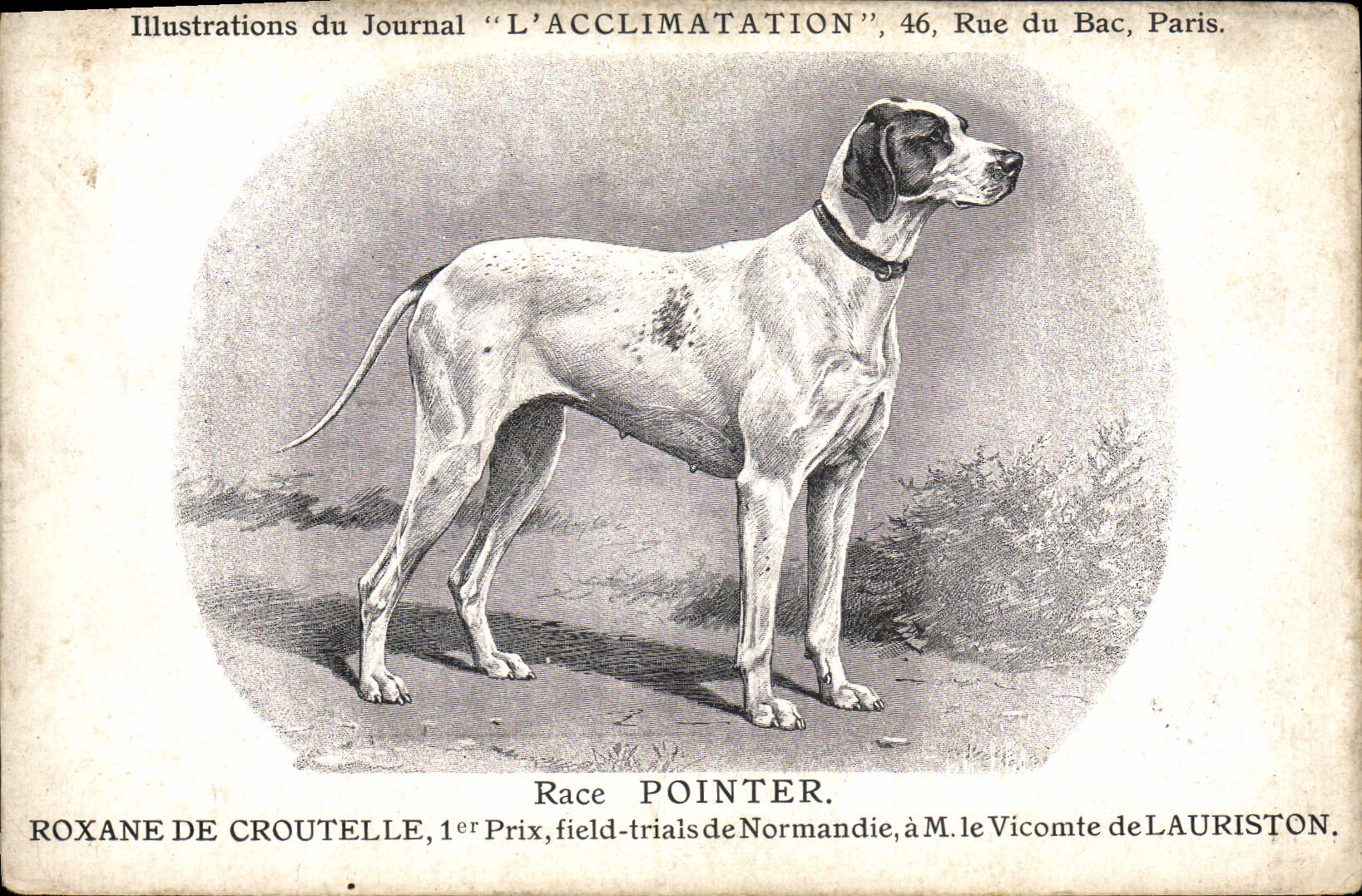 Roxane de Croutelle — Pointeur — Illustrations du Journal 'L'ACCLIMATATION', 46, Rue du Bac, Paris.