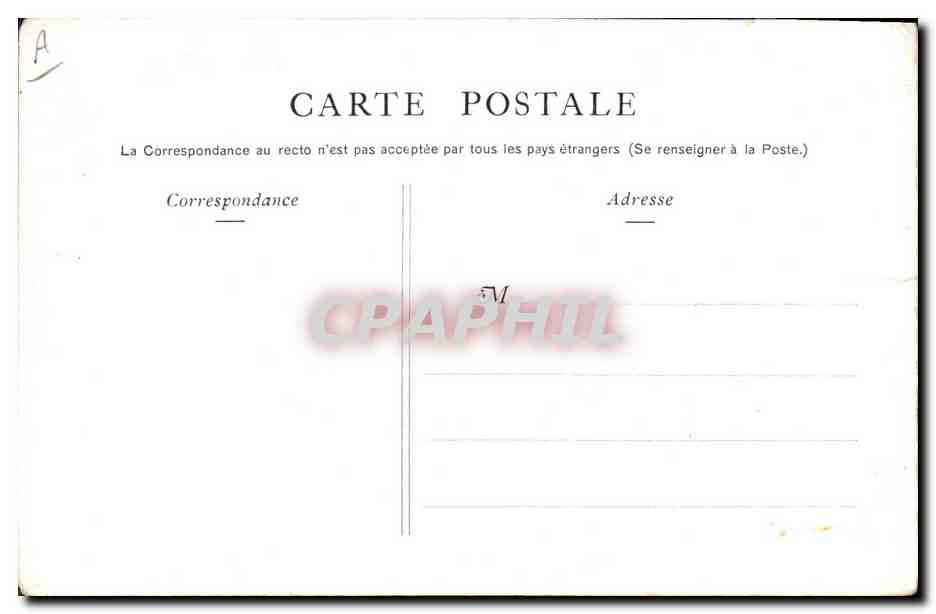CPA Chien Chiens Chiot Race Basset Bleu de Gascogne Chien courant francais — Verso