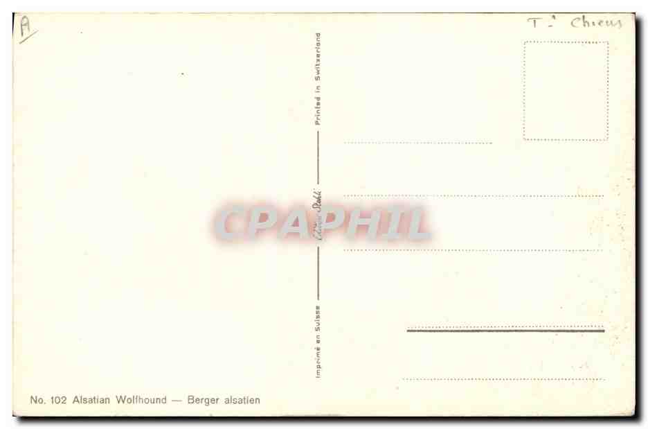 Chien allemand — portrait — J. Hirdt, n° 102 — Verso