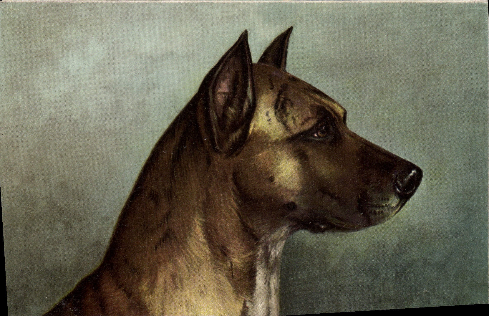 Portrait d'un chien — éditeur Paris-Éditeur-Limoges, n° A-1