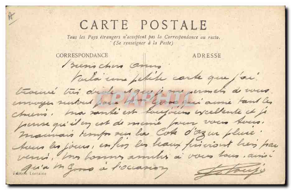 Chien sanitaire et patriote — Édition Lorraine — Reverso