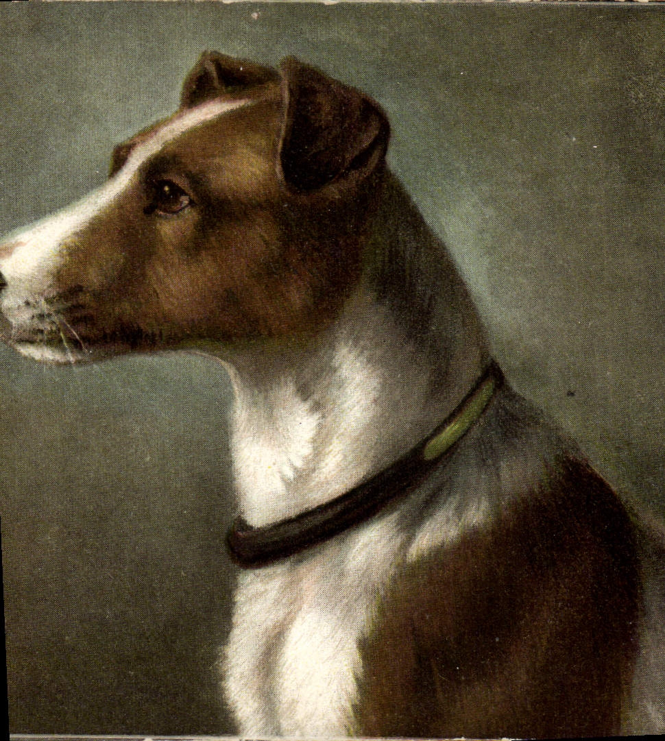 Portrait d'un chien — peinture — éditeur inconnu
