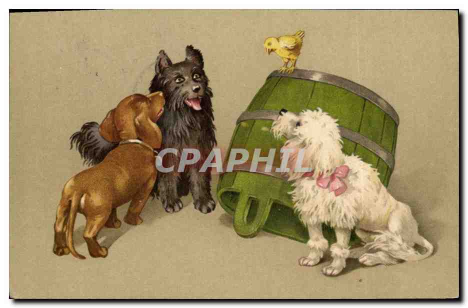 Chiens et poussin — scène animale — Druck W. Wielab & Co. N° 540