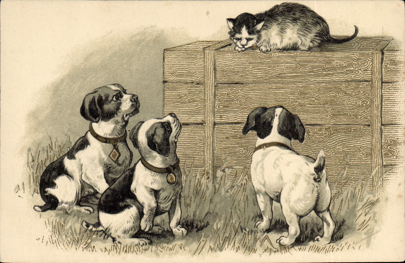 Chiens regardant un chat — illustration — Union postale universelle, série 1897