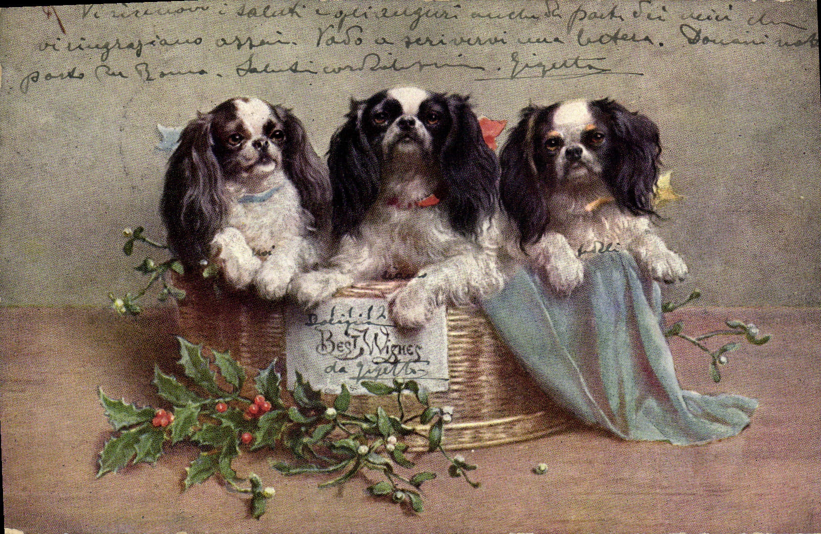 Trois chiens de race Cavalier King Charles — édition Best Wihener — décor de houx