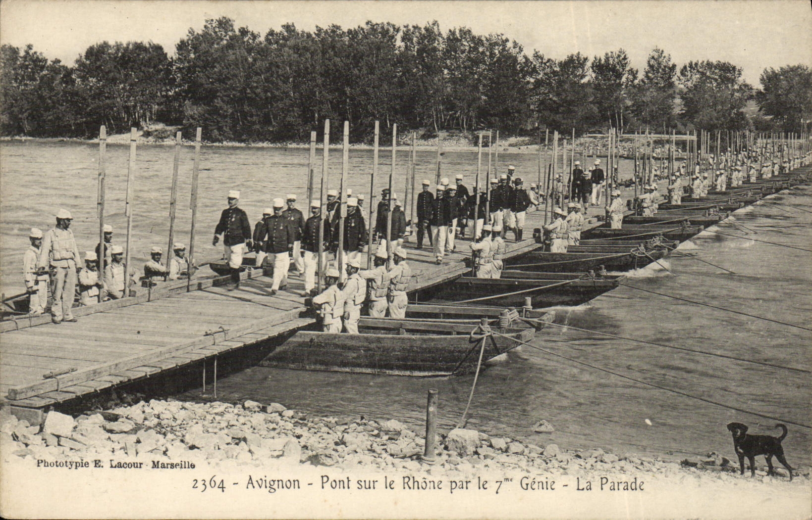 Avignon - Pont sur le Rhône par le 7ème Génie - La Parade