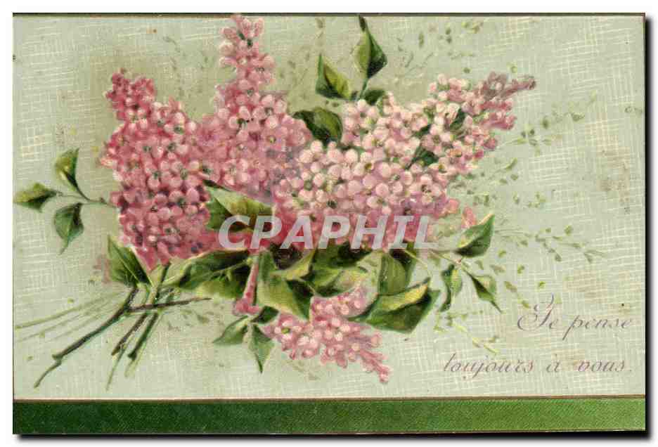 Bouquet de lilas — 'Je pense toujours à vous' — éditeur non visible