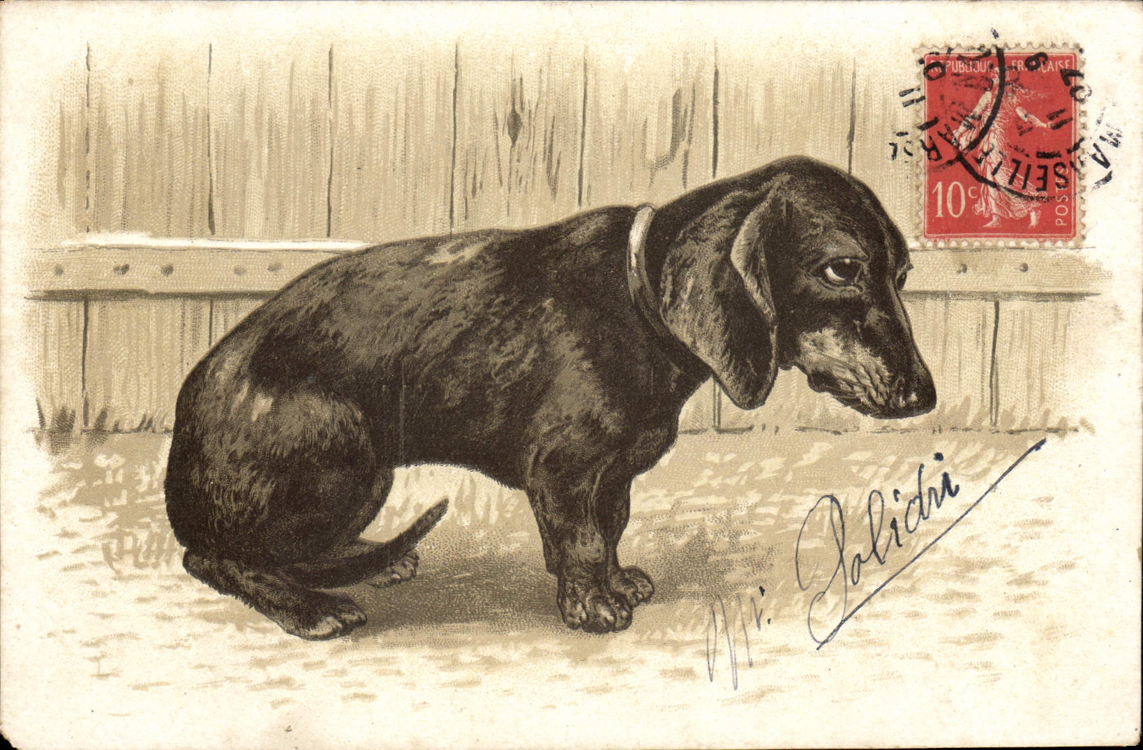 Chien de chasse — Dachshund noir — éditeur Paliché, n° de série non visible