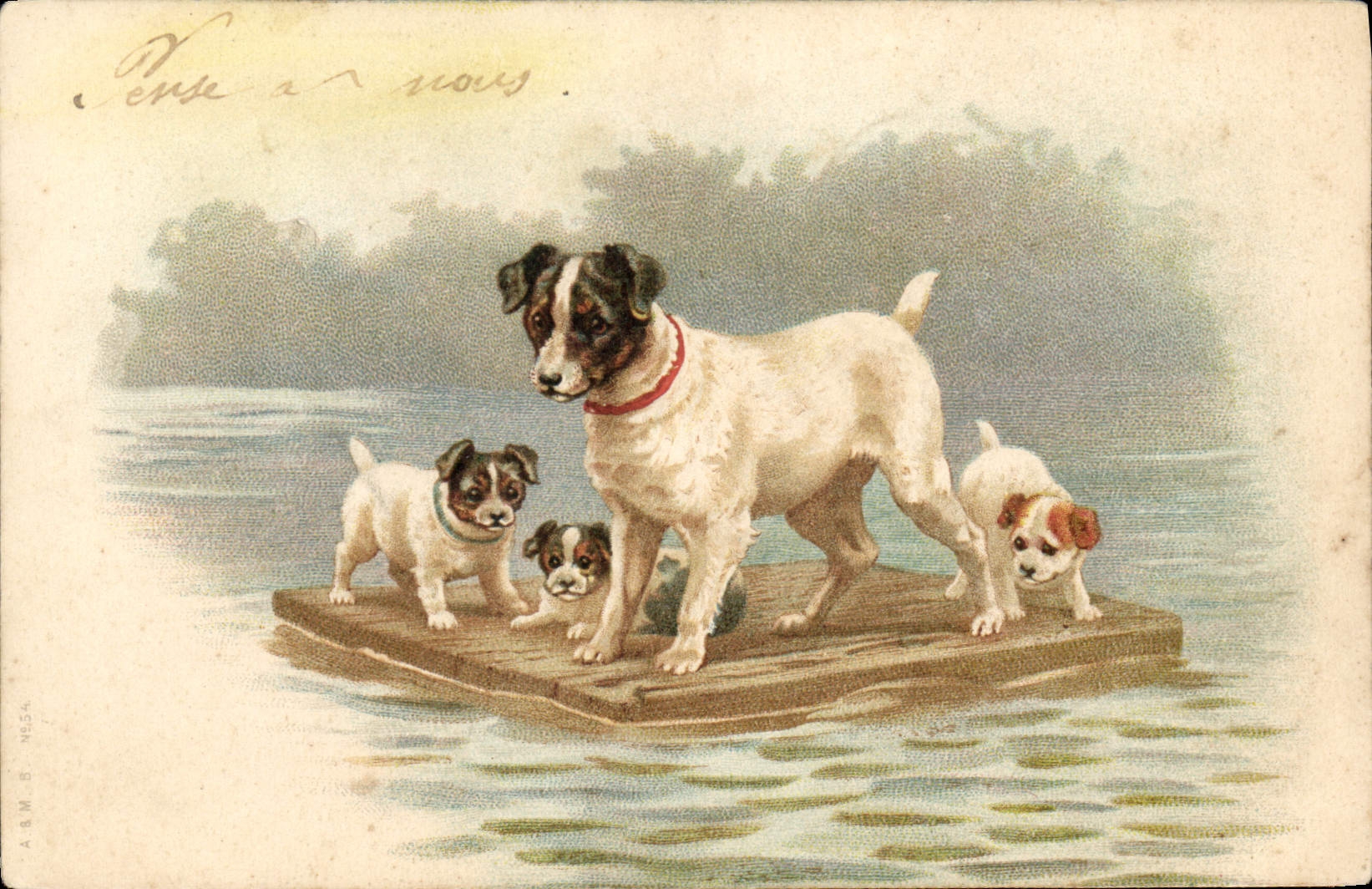 Chien et chiots sur une planche — A.B.M. & MICA — n° 54