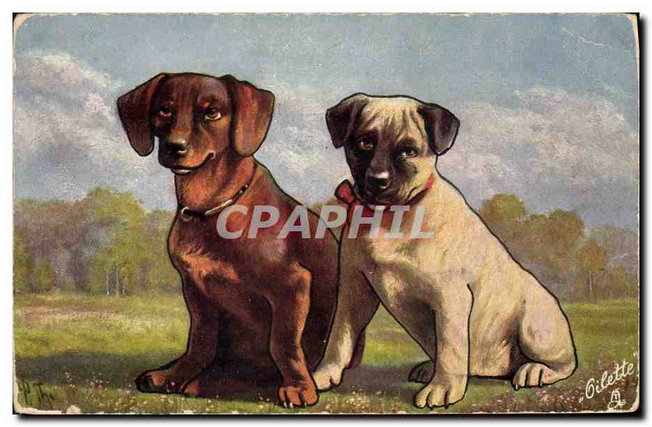 CPA Chien Chiens Chiot 