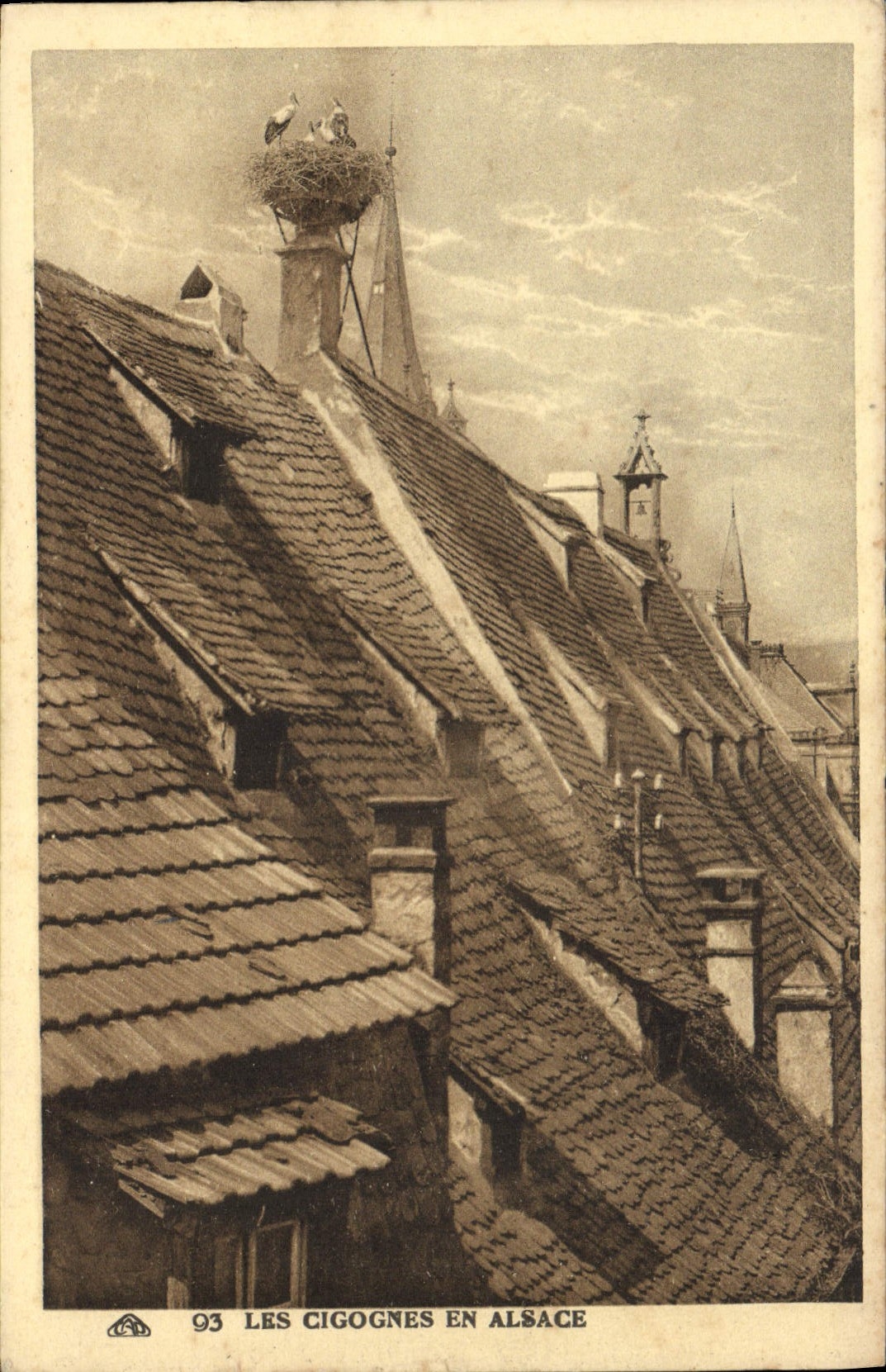 CPA Folklore Alsace Les cigognes en Alsace 