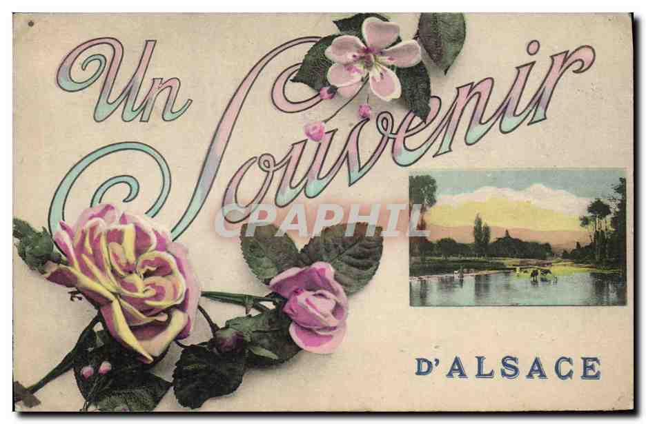 CPA Folklore Alsace Souvenir 