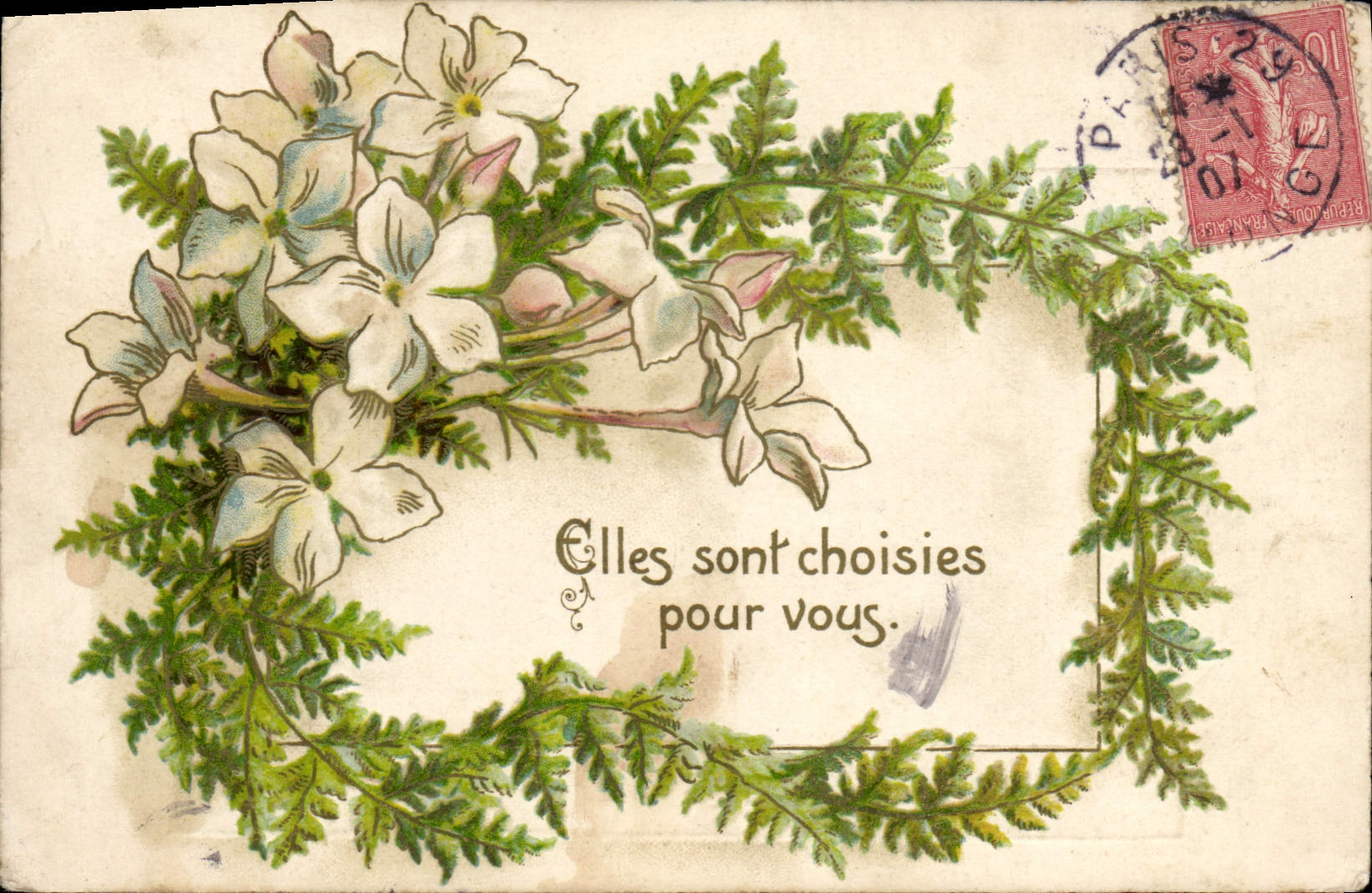 Flores blancas y rosas — Han sido elegidas para usted — editor desconocido