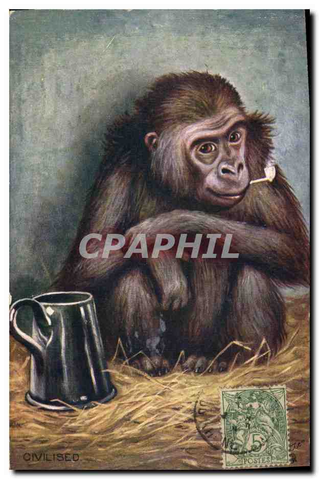 Singe civilisé — avec pipe et cruche — éditeur Tuck's Post Card - Recto