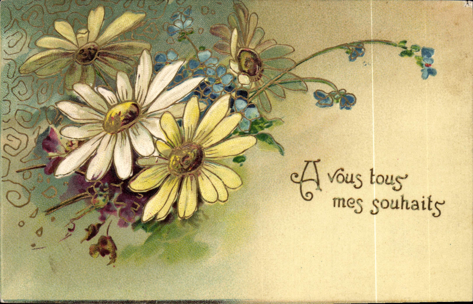 Fleurs — bouquet de marguerites et bleuets — carte postale