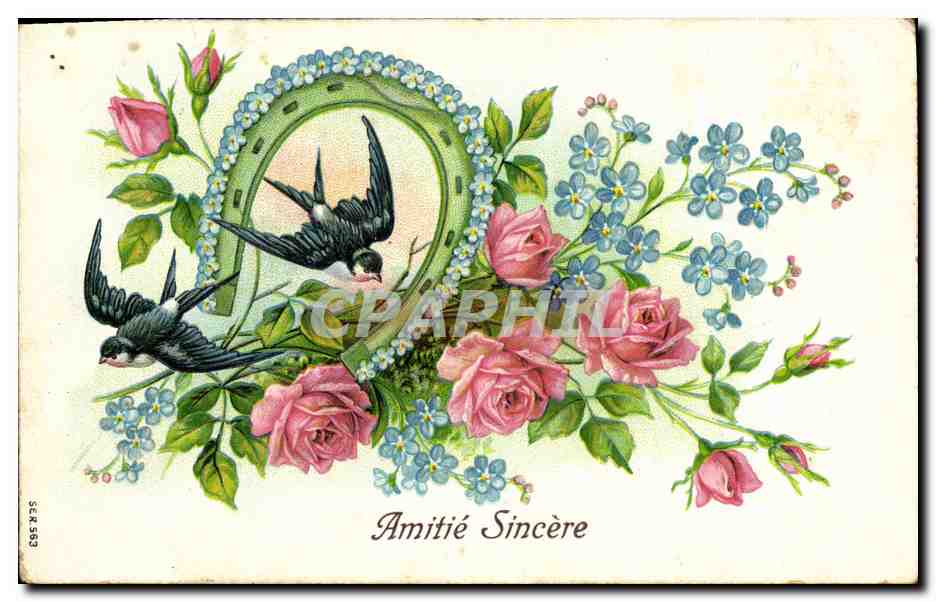 Oiseaux et roses — Amitié Sincère — SEUS63