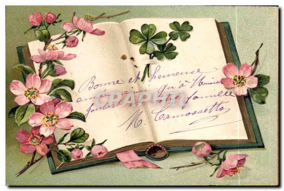 Livre ouvert avec fleurs et trèfles — Carte postale — Série 5353