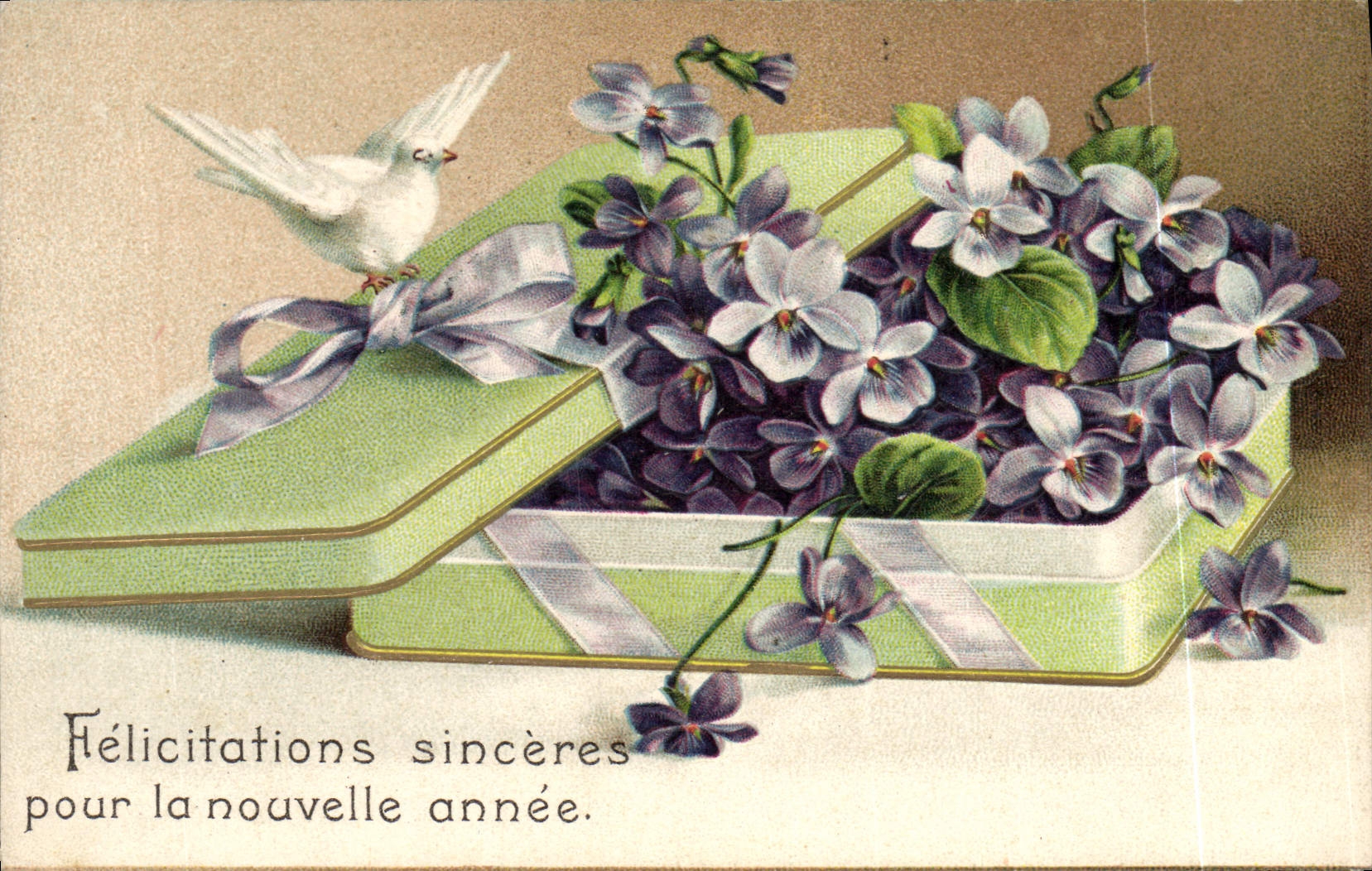 CPA Fantaisie Fleurs Colombe 