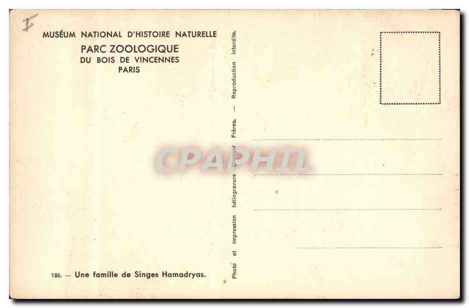 CPA Singe Paris Museum d'histoire naturelle Parc Zoologique du Bois de Vincennes Zoo Une famille de singes Hamadryas  — Rückseite