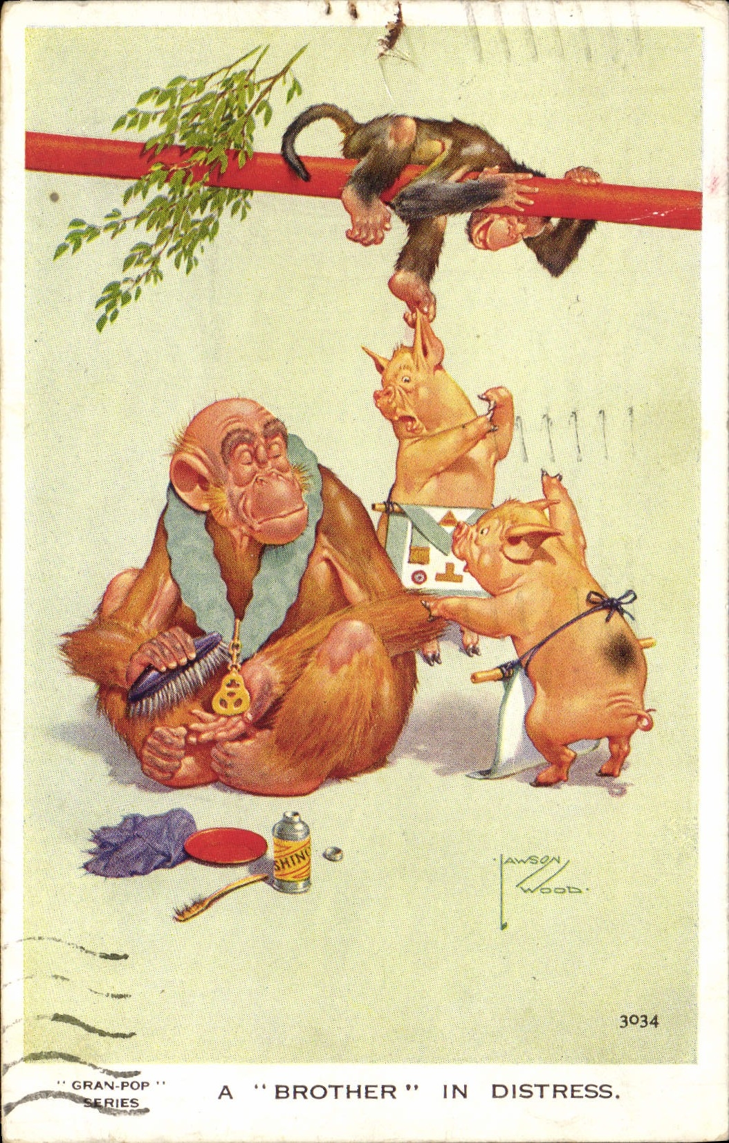 CPA Singe A brother in distress Cochon Porc