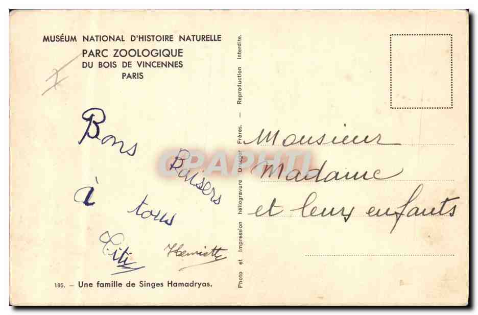 CPA Singe Paris Museum d'histoire naturelle Parc Zoologique du Bois de Vincennes Zoo — Rückseite