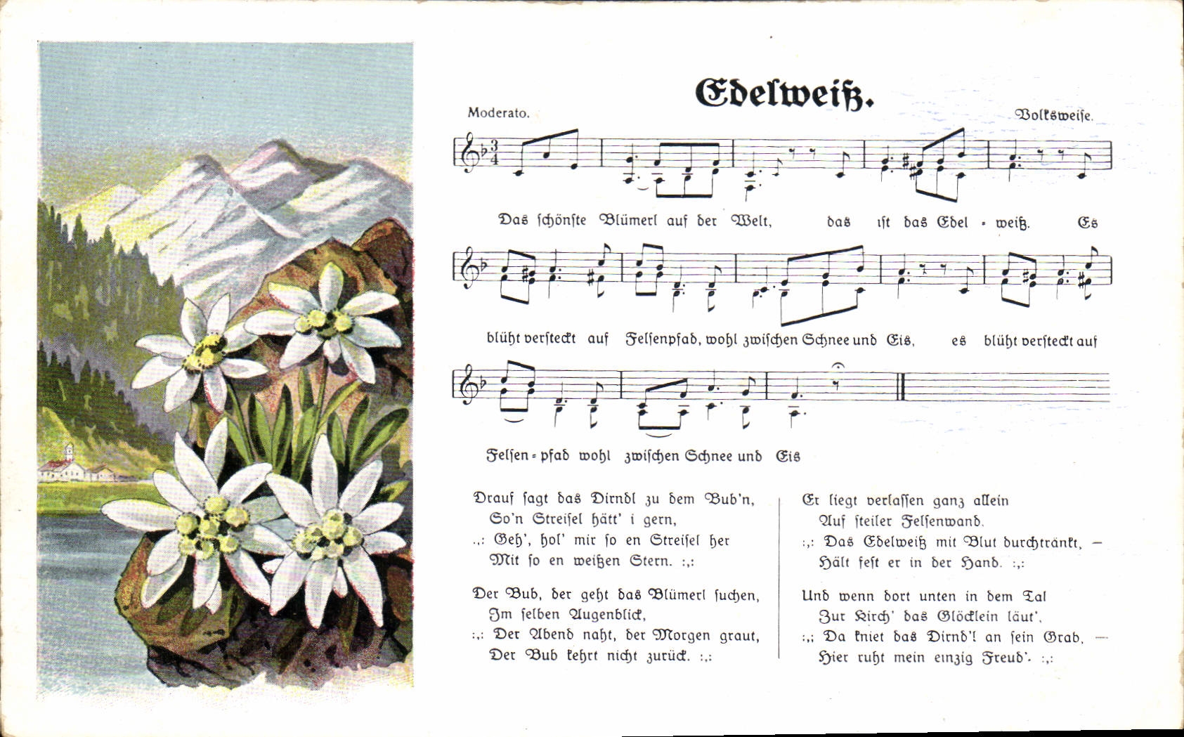 Edelweiß — chanson alpine — Verlag Wilhelm Knoblich, Olmütz i. V. - Recto