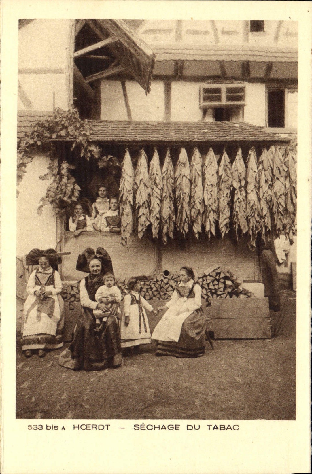 CPA Folklore Alsace Hoerdt Sechage du tabac 