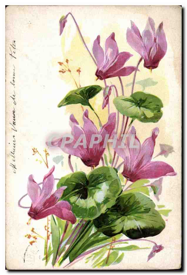 CPA Fantaisie Fleurs 